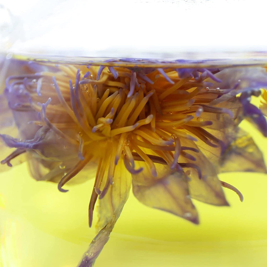 HelloYoung FullChea Premium Egyptian Whole Flower - 1oz/30g - Whole Flower Herbal Tea