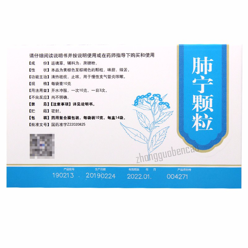 修正肺宁颗粒 Xiuzheng Feining Keli Secondary image