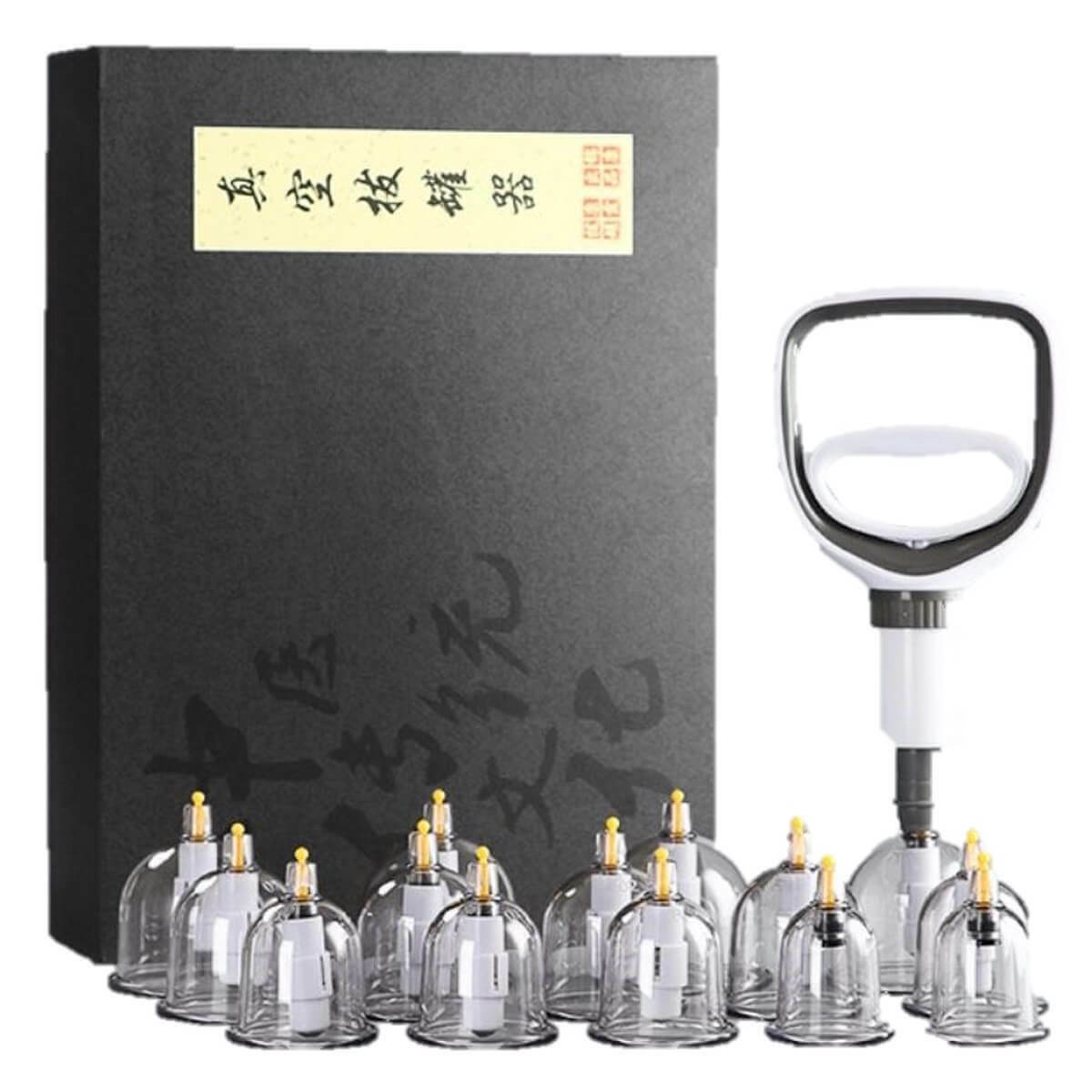 真空拔罐器Professional Acupoint Cupping Set, 4th Generation Pump Gun & Cups (12 Cups)