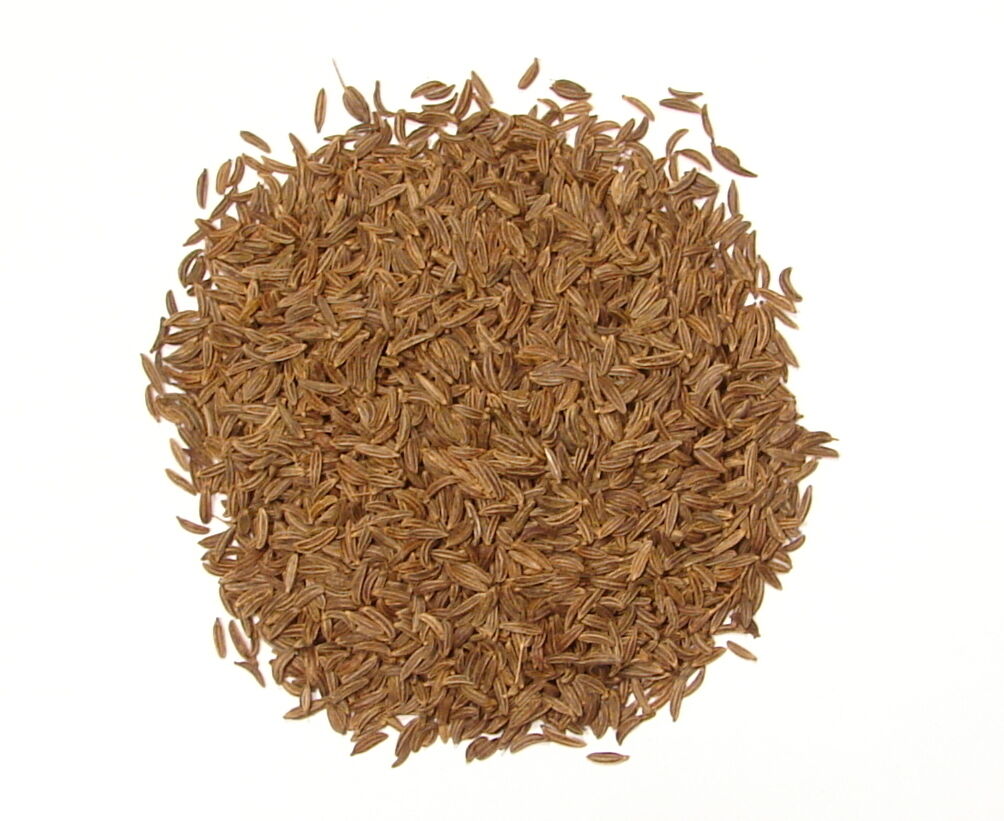 Whole Caraway Seeds - 1 lb - Dried Bulk "Rye" Spice