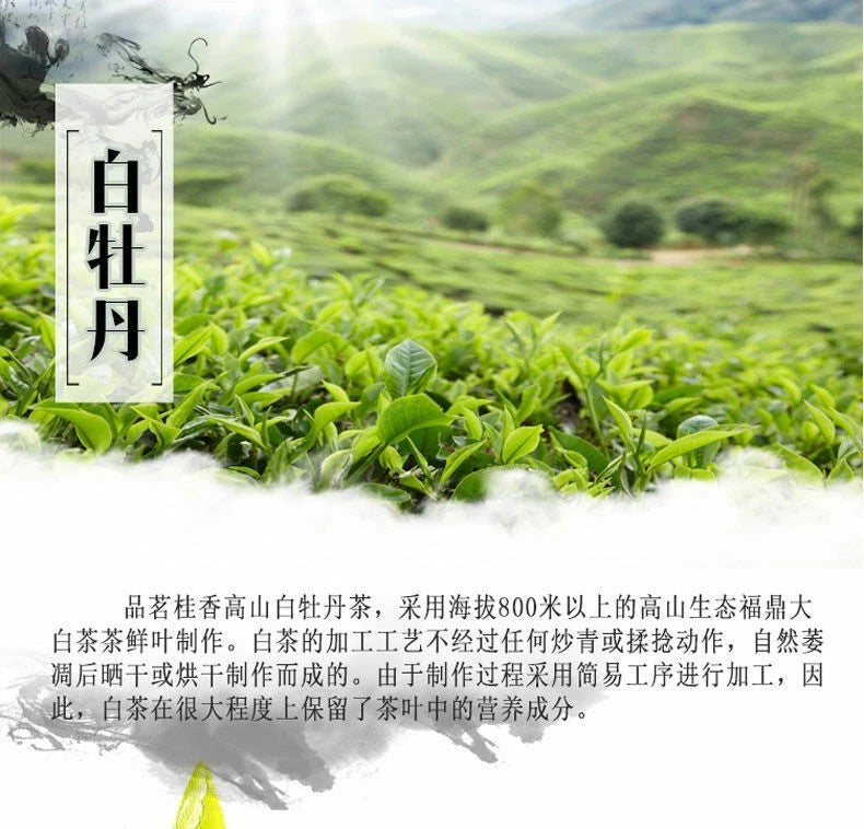 HelloYoungTea 500g Premium Organic Bai Mu Dan White Peony White Tea Spring Tea Loose Leaf Tea