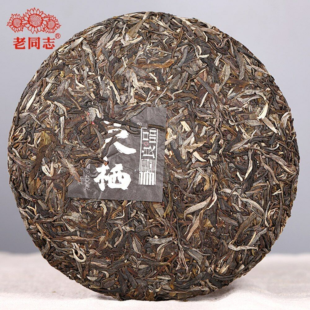 HelloYoung Haiwan The Gathering of Plant Spirit Raw Puer Excellent Shen Puerh Tea 400g