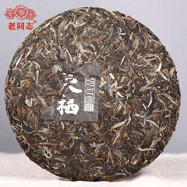 HelloYoung Haiwan The Gathering of Plant Spirit Raw Puer Excellent Shen Puerh Tea 400g