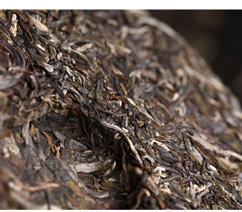 Haiwan Famous Mountain Aged Tree Raw Puer PaSha Gu Shu Old Pu'er Tea 500g
