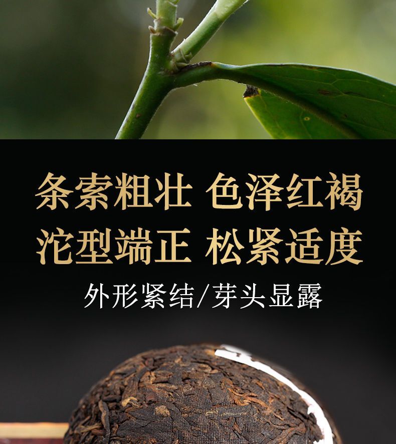 HelloYoung DALI Tuocha Yunnan Xiaguan Shu Pu-erh Tea Pu'er Ripe Puer Tea 100g Boxed