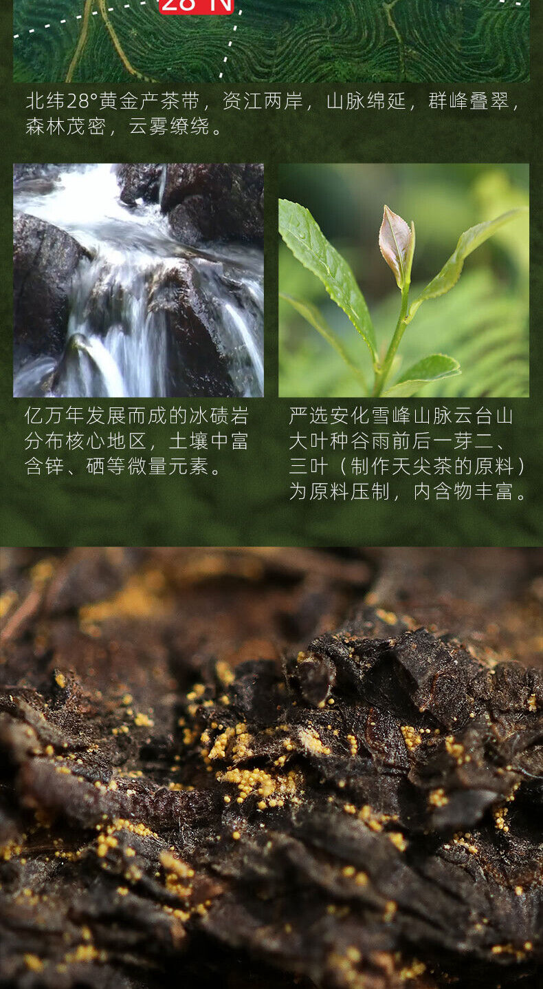 HelloYoung 1kg Gold Flower Tea Black Tea Brick TIAN FU CHA Anhua Baishaxi 1939 Dark Tea