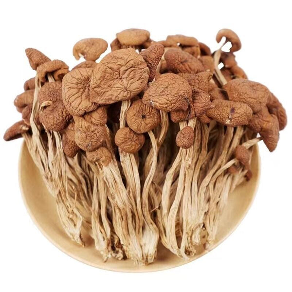 HelloYoung Natural Tea Tree Mushrooms agrocybe cylindracea Dried Mushrooms Kitchen Food 茶树菇