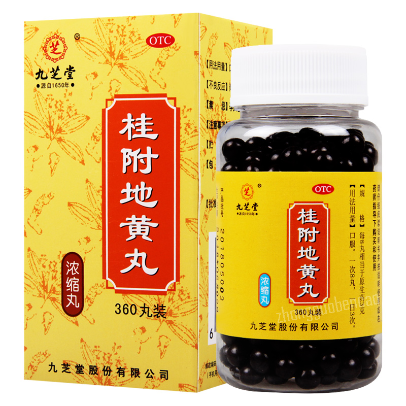 Jiuzhitang Guifu Dihuang Wan 九芝堂桂附地黄丸 Main image