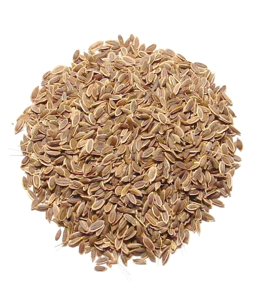 Dill Seed, Whole - 1 Pound - The "Pickle Spice" Bulk Seasoning