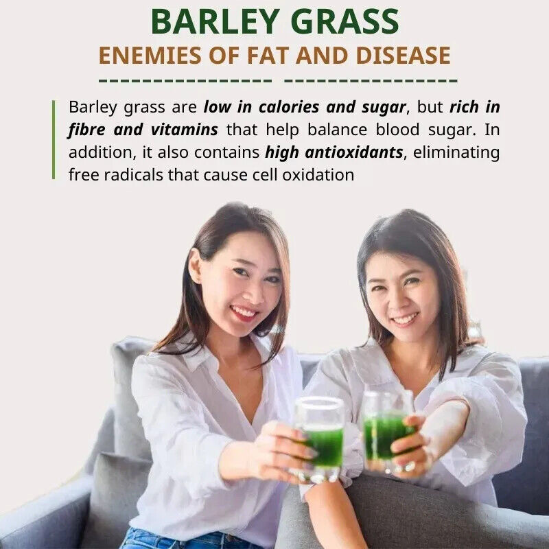 Barley Grass Powder 100% Pure & Organic 20Pcs Pure Organic Barley