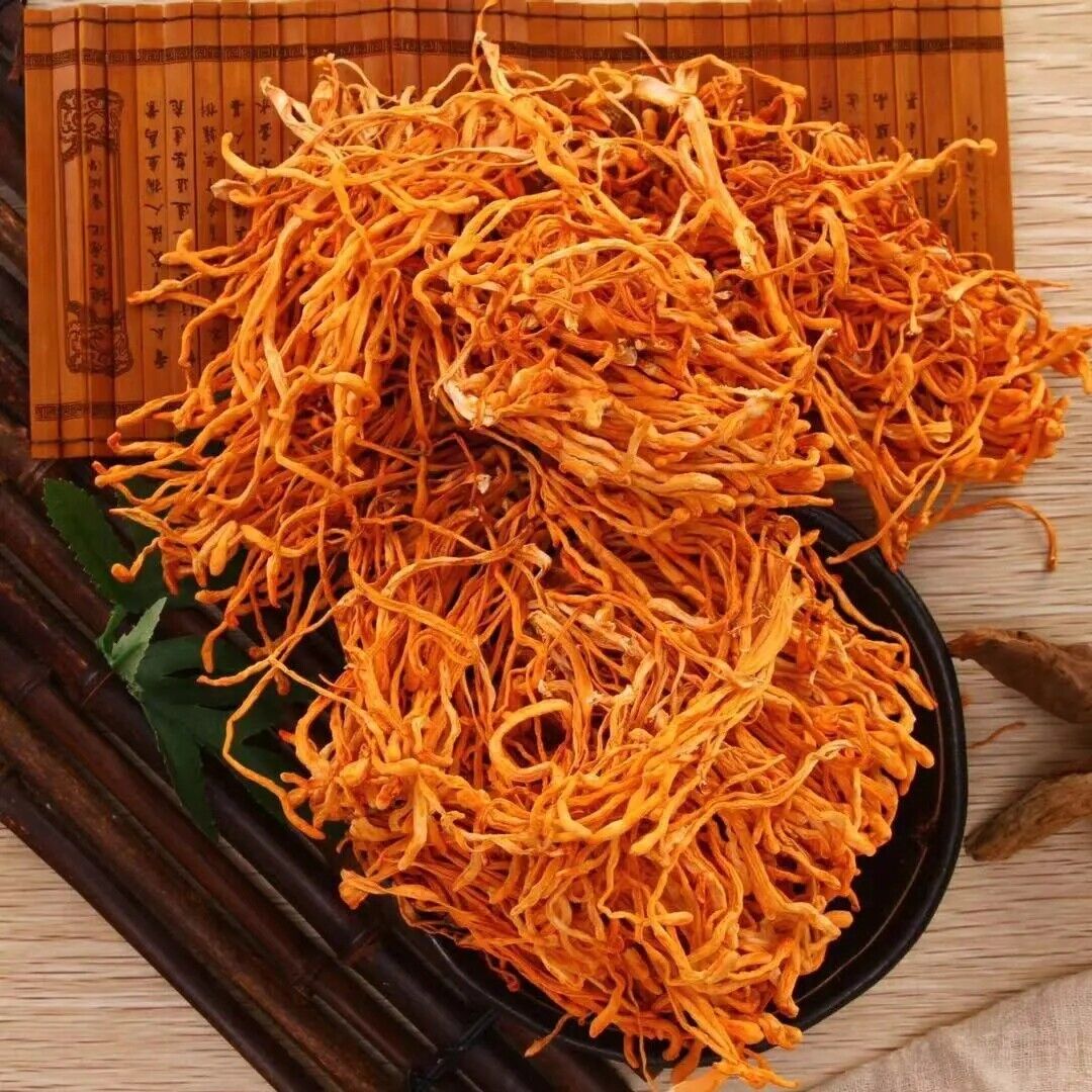 Organic Cordyceps Sinensis 500g Dried Mushroom Chinese Tradition Medicine