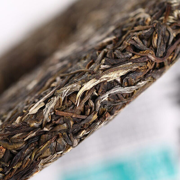 HelloYoung Haiwan Old Comrade Shen Puer Shen Shan Old Tree Raw Shen Puer Tea 500g
