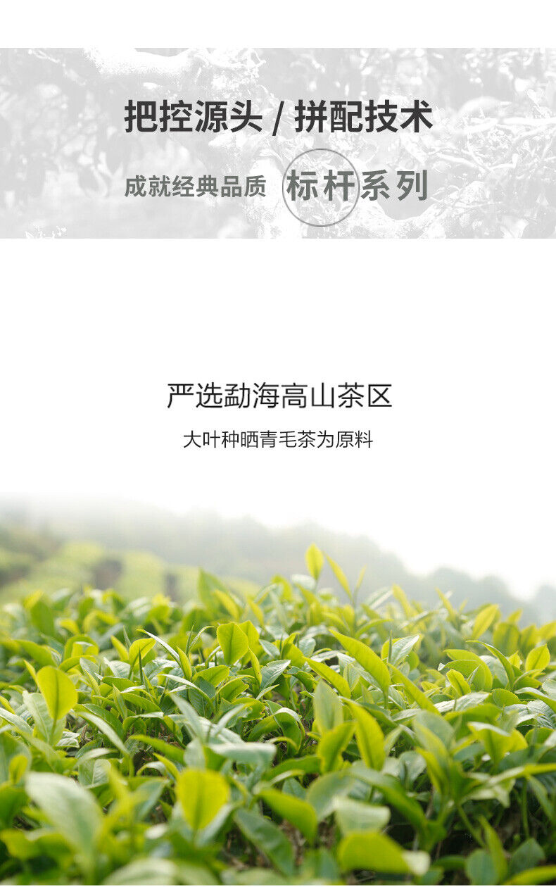 HelloYoung Haiwan Lao Tong Zhi Old Comerade 7548 Pu-erh Tea Cake Sheng 357g Raw Pu'er