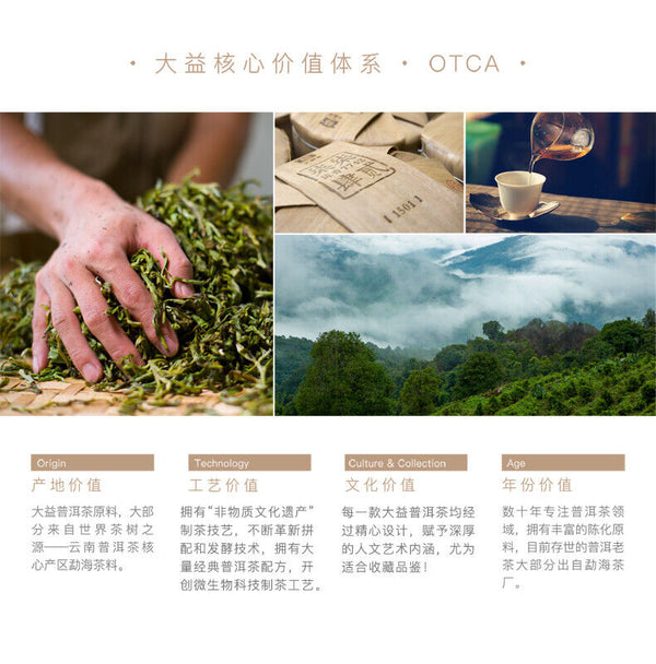 HelloYoung TAETEA MI XIANG * Menghai Dayi Raw Pu'er Tea Cake Organic Pu-erh Tea 300g