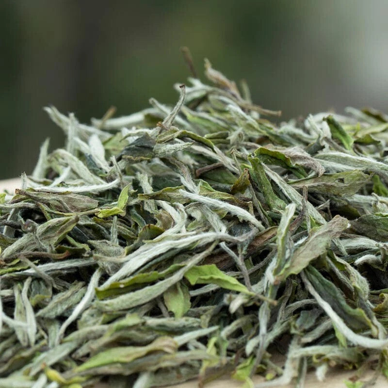 1000g FuDing High Mountain Bai Mu Dan White Tea Aged White Peony Pai Mu Tan tea 1000克福鼎高山白牡丹白茶 陈年白牡丹（Pai Mu Tan）茶