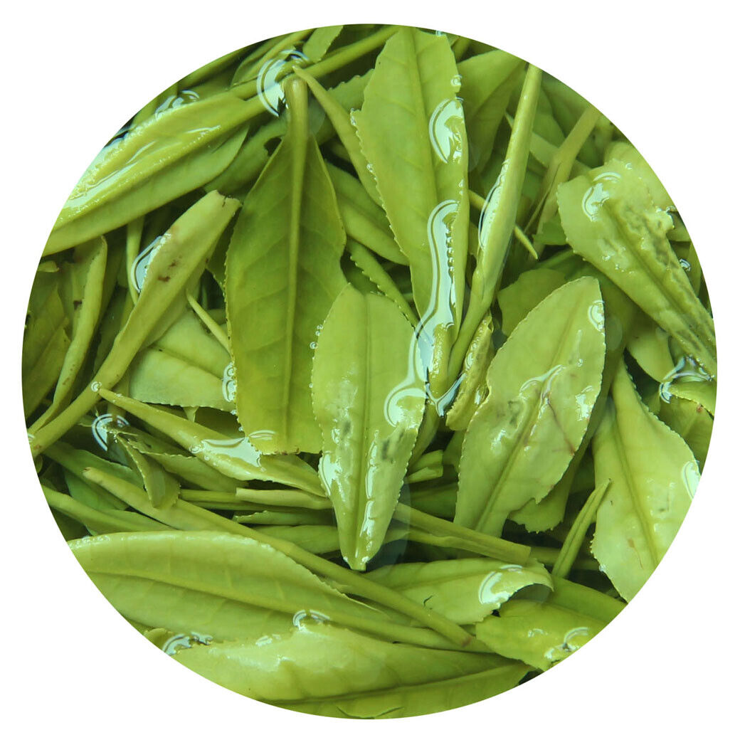 HelloYoung HELLOYOUNG 100g Supreme Anji Baicha Baipian White Slice Tea Spring GREEN TEA