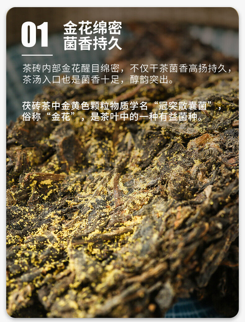 HelloYoung CHINATEA Brand MM Hunan Anhua Golden Flowers Fucha Dark Tea 360g Brick Fu Zhuan