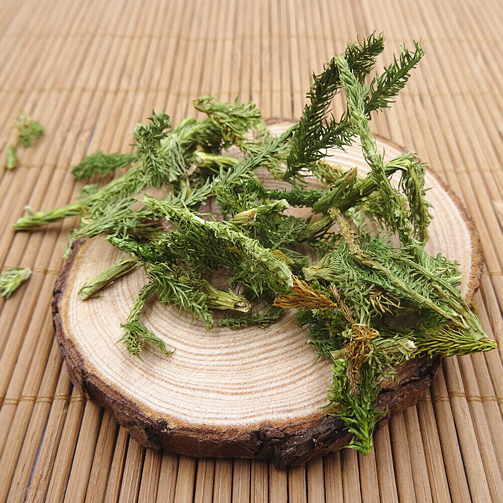 HelloYoung New Organic Shenjincao Organic Herbal Drink Tendongrass Natural Herbal Tea 500g