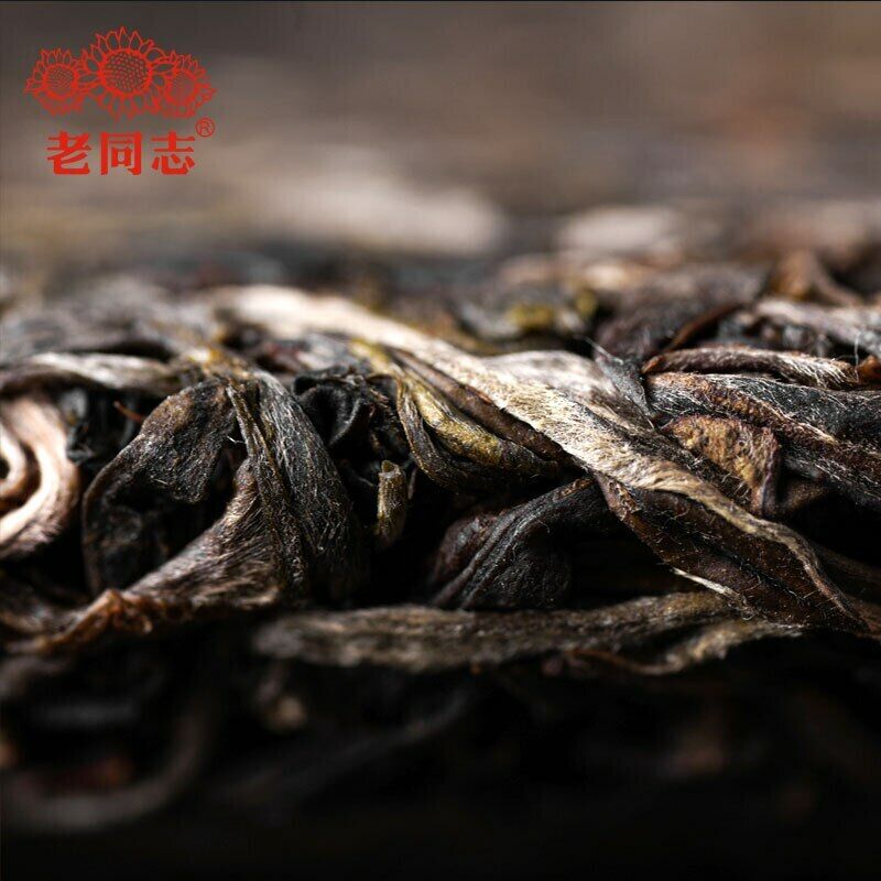 HelloYoung Haiwan Pa Sha Ancient Tree Raw Puer Tea Aged Tree Sheng Puerh Tea 500g