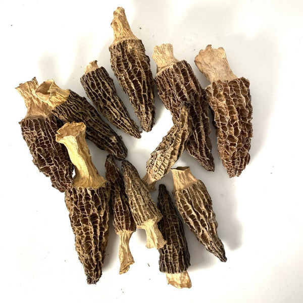 Dried Wild Morel Mushrooms, Wild Morchellas 90g - 150g（Weight with packaging）