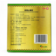 Cheezheng Shang Shi Zhi Tong Gao Cheezheng Shangshizhitonggao 奇正伤湿止痛膏6贴/盒