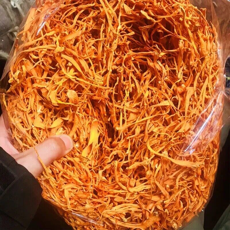 500g Bio Cordyceps Militaris Pilz – Premium Qualität, Natürliche Superpilze Main image