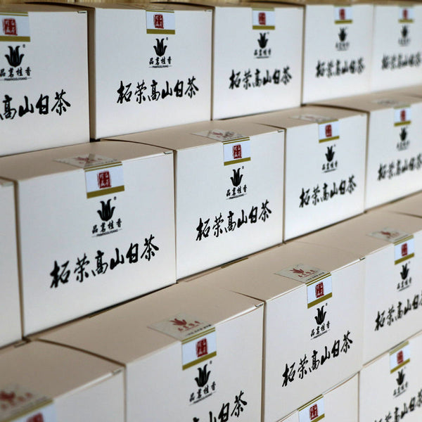 HelloYoung Chinese Fuding White Tea White Peony Bai Mu Dan Biscuit Small Square Brick 100g