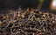 HelloYoung 58 Dianhong Tea Yunnan Dian Hong Black Tea Original Phoenix Brand Classical 380g