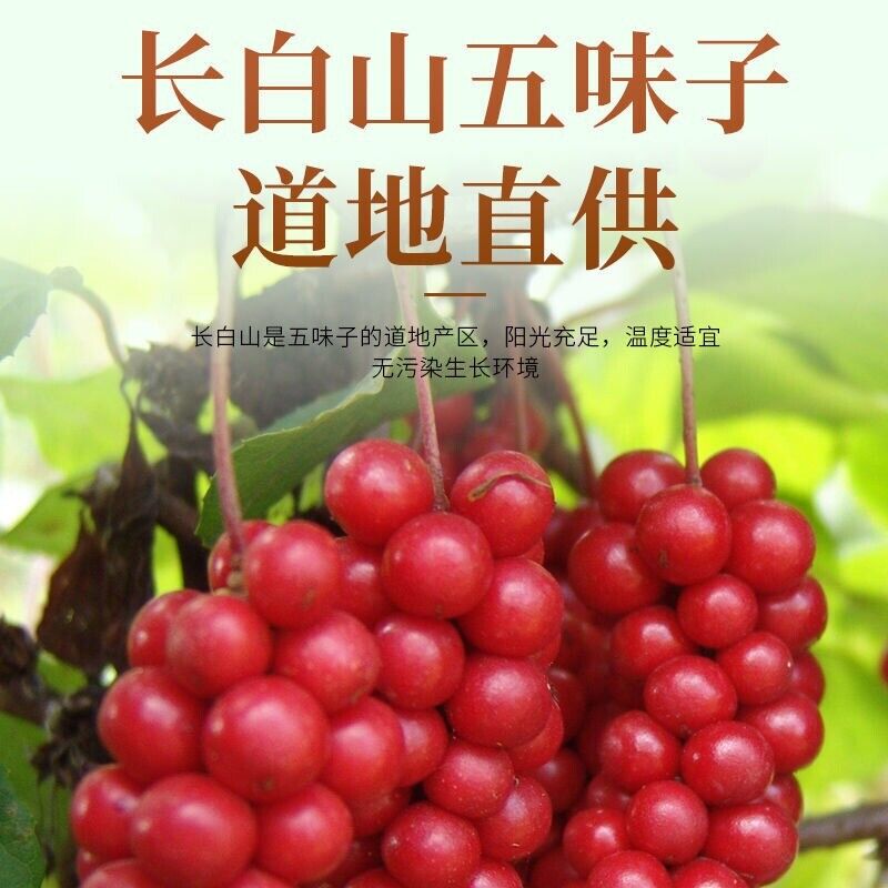 HelloYoung Natural Wild Schisandra Chinensis Tea WuWeiZi Green good health Berry Herbs 五味子