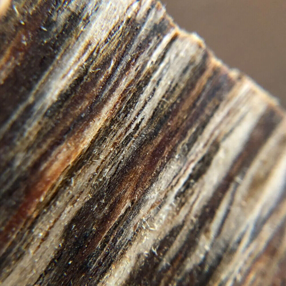 HelloYoung Incense Aroma Natural Wild And Rare 50g High Quality Agarwood Chips Oud Chips