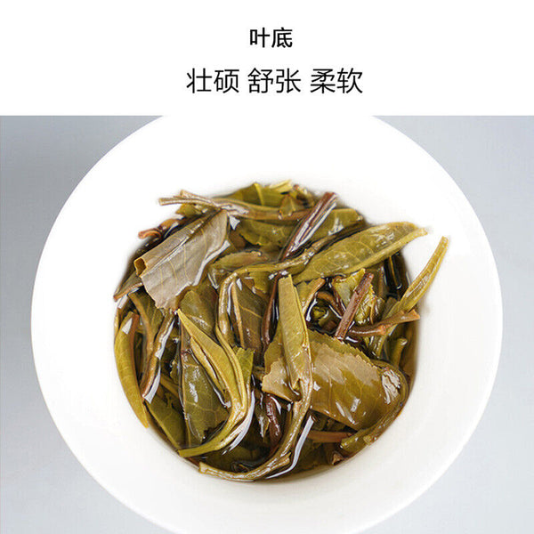 HelloYoung Haiwan Lao Tong Zhi Old Comerade 7548 Pu-erh Tea Cake Sheng 357g Raw Pu'er