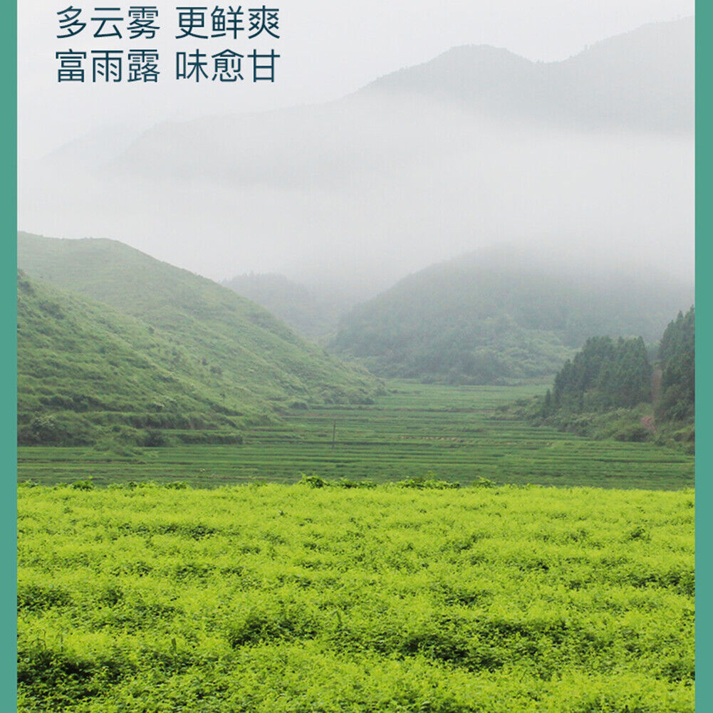 HelloYoung three heights Natural HealthJiaogulan Cha Gynostemma Tea Reduce Herb平利龙须茶泡水延缓衰老