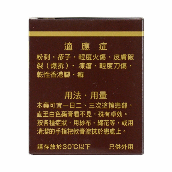OTSUKA Oronine H Ointment Large Size 100ml (3.5oz)娥羅納英H软膏