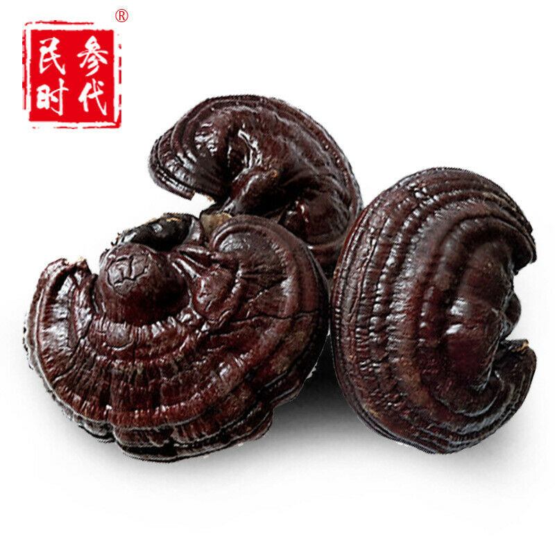 HelloYoung 500g Reishi Soup Purple Ganoderma Lucidum Wild Lingzhi Mushroom Herbs
