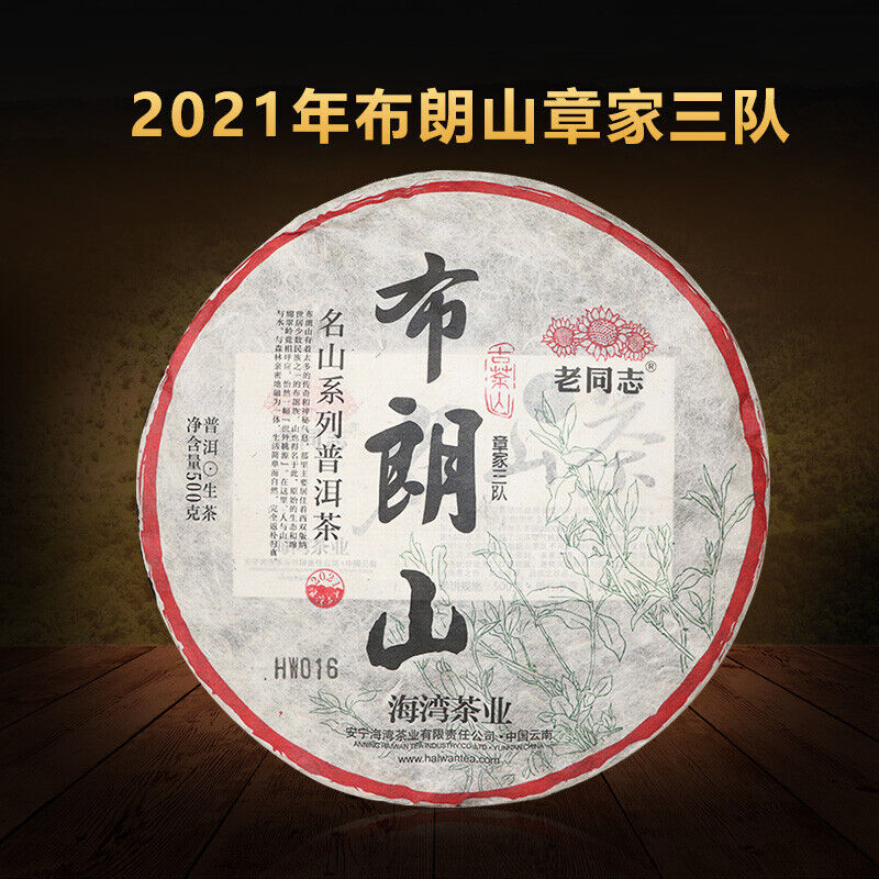 Haiwan Zhang Jia San Dui Puer Raw Tea Bulang Famous Mountain Aged Tree 500g Main image