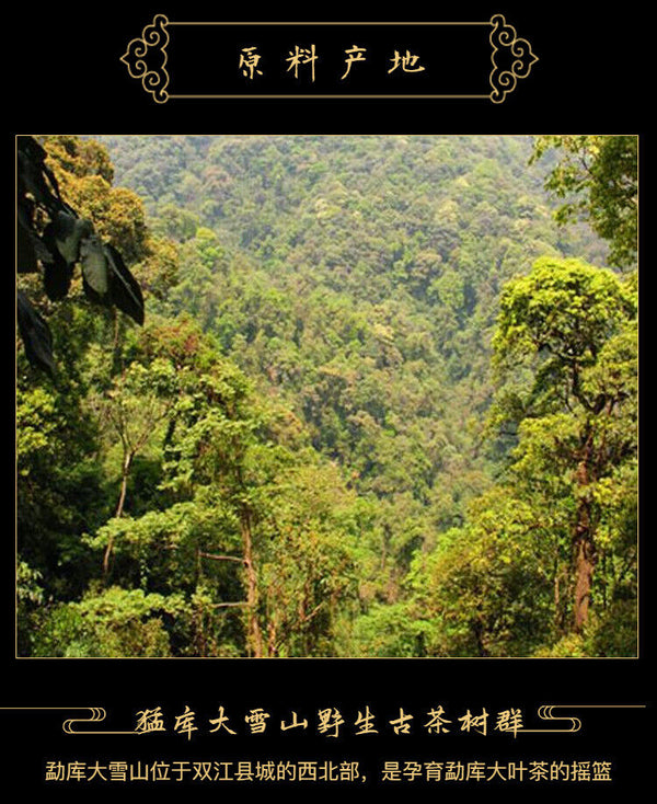 HelloYoung MengKu Hao Rongshi Yunnan Mengku Qizi Tea Biscuit Green Cake Raw Puer 400g