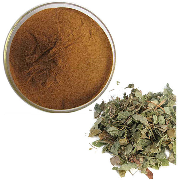 Horny Goat Weed Extrakt (Epimedium) 95% Icariin Hochwertiges Pulver