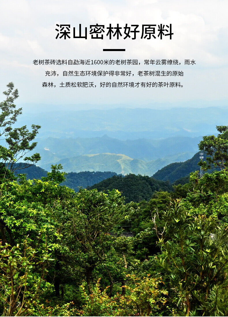HelloYoung Haiwan Tea Menghai Old Tree Tea Brick Ripe Pu-erh Pu Er Tea 500g Box