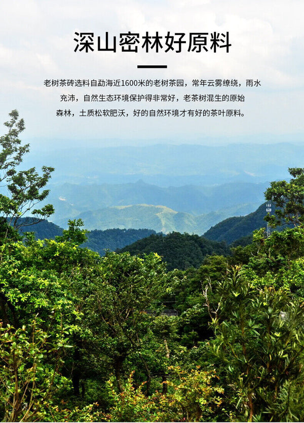 HelloYoung Haiwan Tea Menghai Old Tree Tea Brick Ripe Pu-erh Pu Er Tea 500g Box