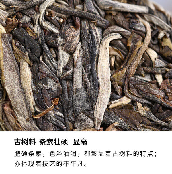 HelloYoung Haiwan "Liang Yuan Liang Yun" Premium Pu'er Tea Series Raw Pu-erh Tea 400g