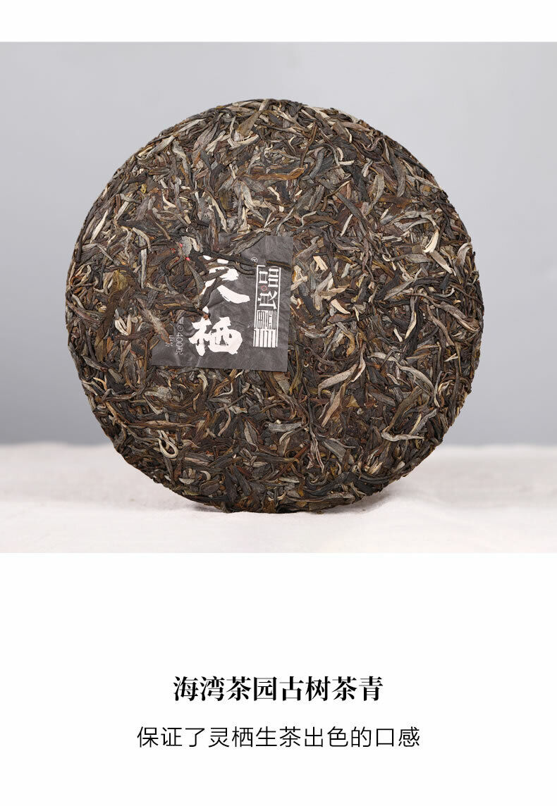 HelloYoung Haiwan Old Comrade Liang Pin Ling Qi Shen Puer Tea Old Raw Pu'er Cake
