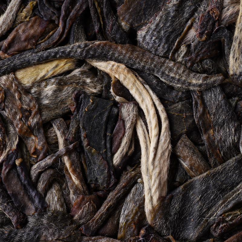 HelloYoungTea 2021 Haiwan Zhang Jia San Dui Bulang Mountain Raw Puer Tea Old Trees Puerh 500g