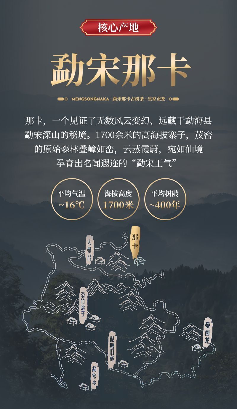 HelloYoung Yunnan Mengsong Na Ka Ancient Tree Naka Pu'er Pu-erh Raw Tea Cake Puer 357g