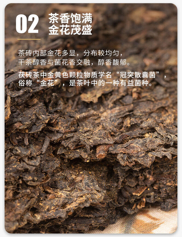 HelloYoung Hunan Anhua Golden Flower Dark Brick Tea Fu Zhuan Dark Tea 380g HEI CHA
