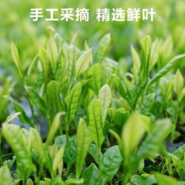 HelloYoung Silver Needle Huoshan Huangya Green Tea Early Spring Top Grade Yellow Tea 250g