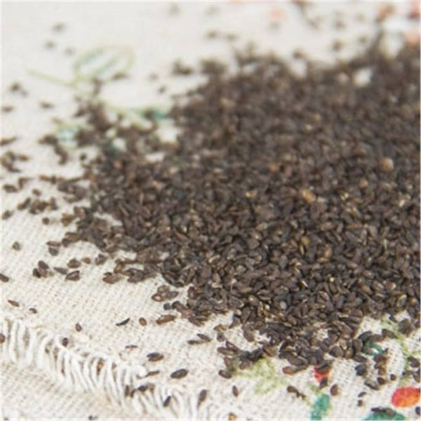 HelloYoung 100% Natural Plantago Asiatica Seed Che Qian Zi Plantain Seed Psyllium Seed 车前子