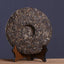 HelloYoung Zhu Yuan Yu Run Pu-erh Tea Cake HAIWAN Ecology Cha Puer Brand Old Comrade 400g