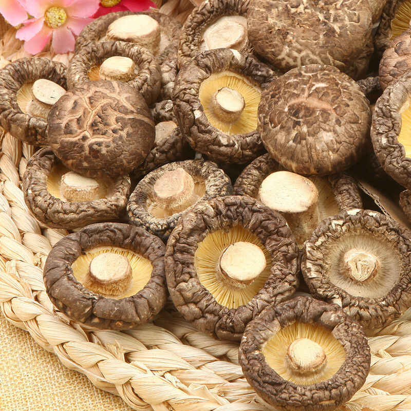 HelloYoung Kitchen Food Chinese Qing Yuan Dry Shiitake Edible Fungus 500g Winter Mushroom