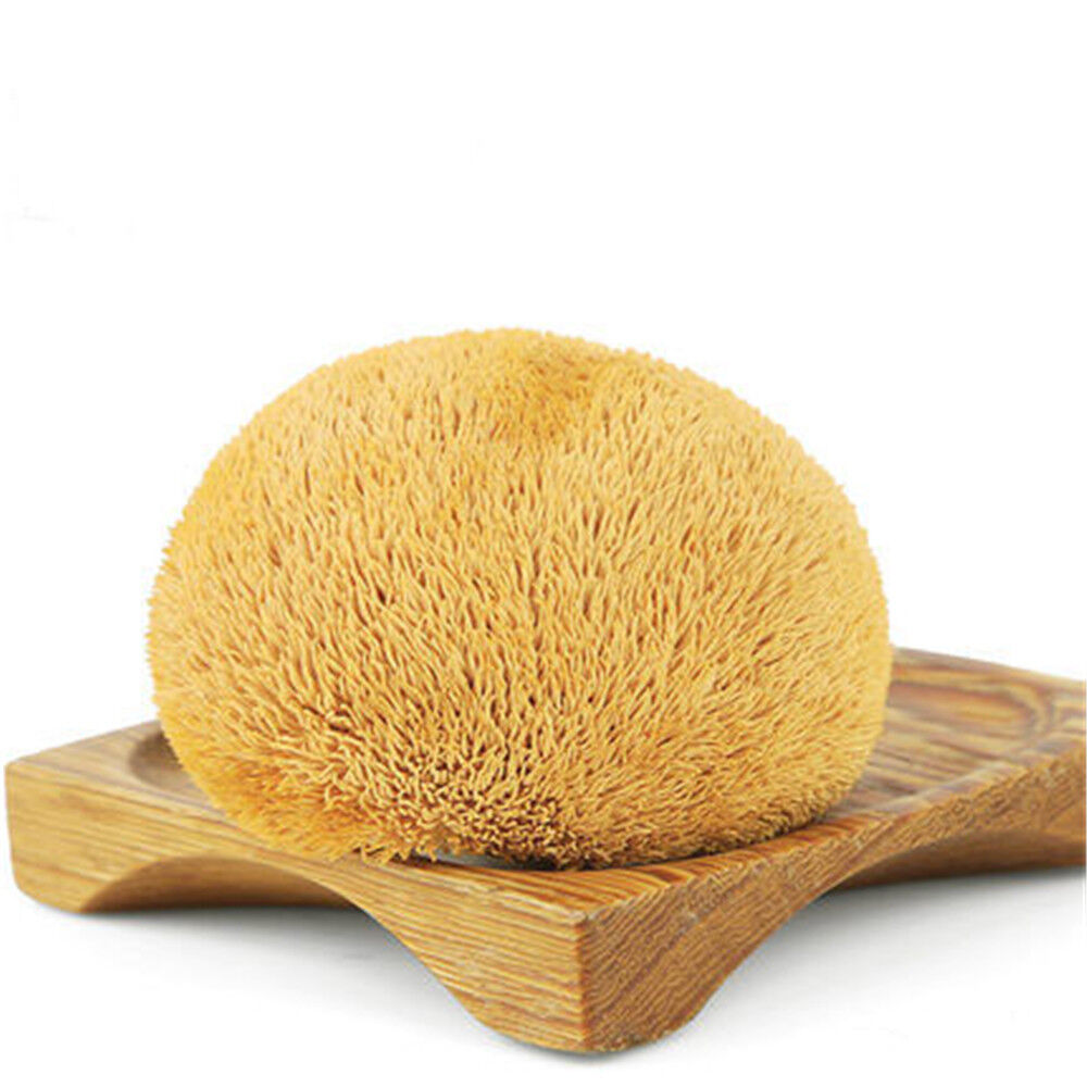 HelloYoung 100% Organic 500g Natural Dried Lion's Mane Mushroom Chinese Herbs Healthy Drink Secondary image