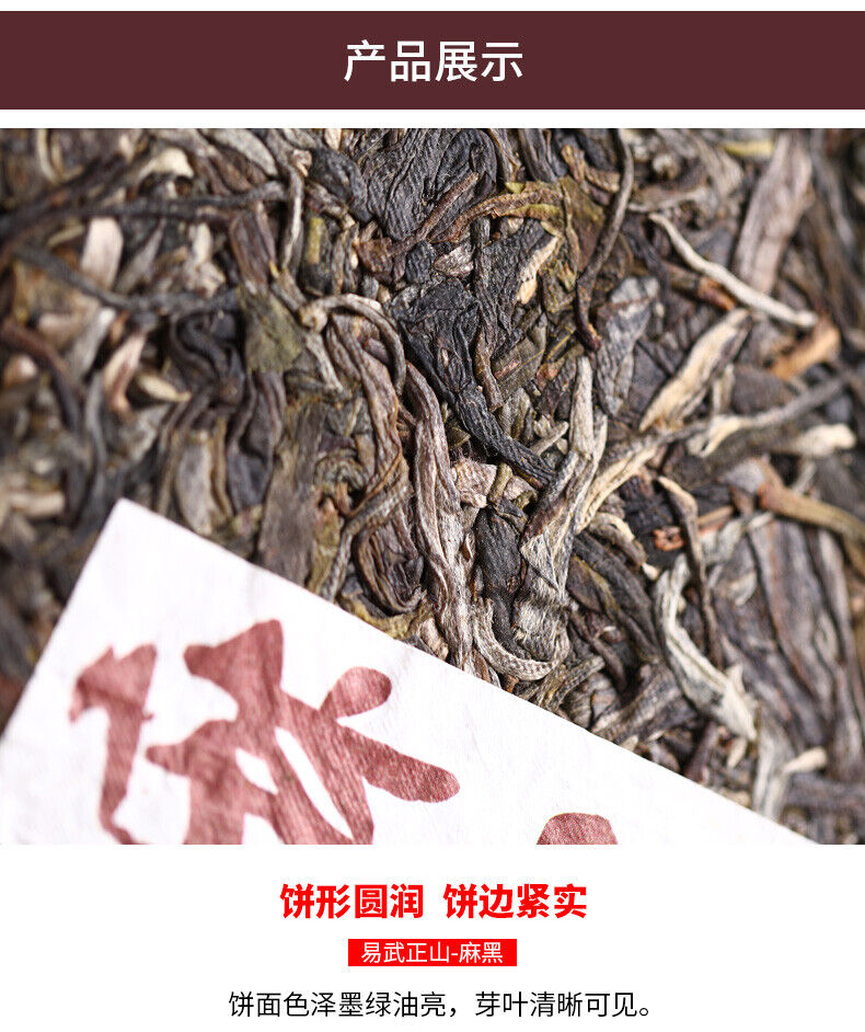 HelloYoung 2021 Haiwan Yi Wu Zheng Shan Shen Puer Tea Ma Hei Famous Old Tree Raw Pu'er 500g